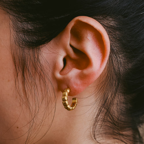 Cookie Hoops (14K Gold)