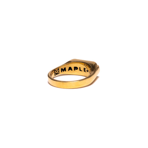 Unruly Ring (14K Gold/Resin/Onyx)