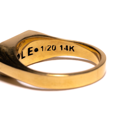 Unruly Ring (14K Gold/Resin/Onyx)