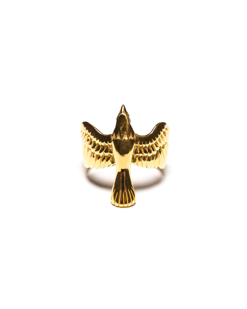 MAPLE Eagle Ring 14K Gold front view