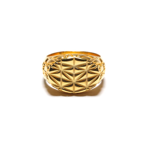 MAPLE Mccourt Signet Ring 14K Gold Shed Building inspired front view