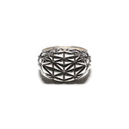 MAPLE Mccourt Signet Ring Silver 925 Shed Building inspired front view