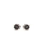 Rose Star Stud Earrings (Silver 925)